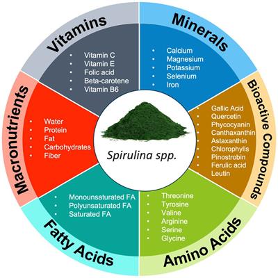 Frontiers | Nutrient synergy: definition, evidence, and